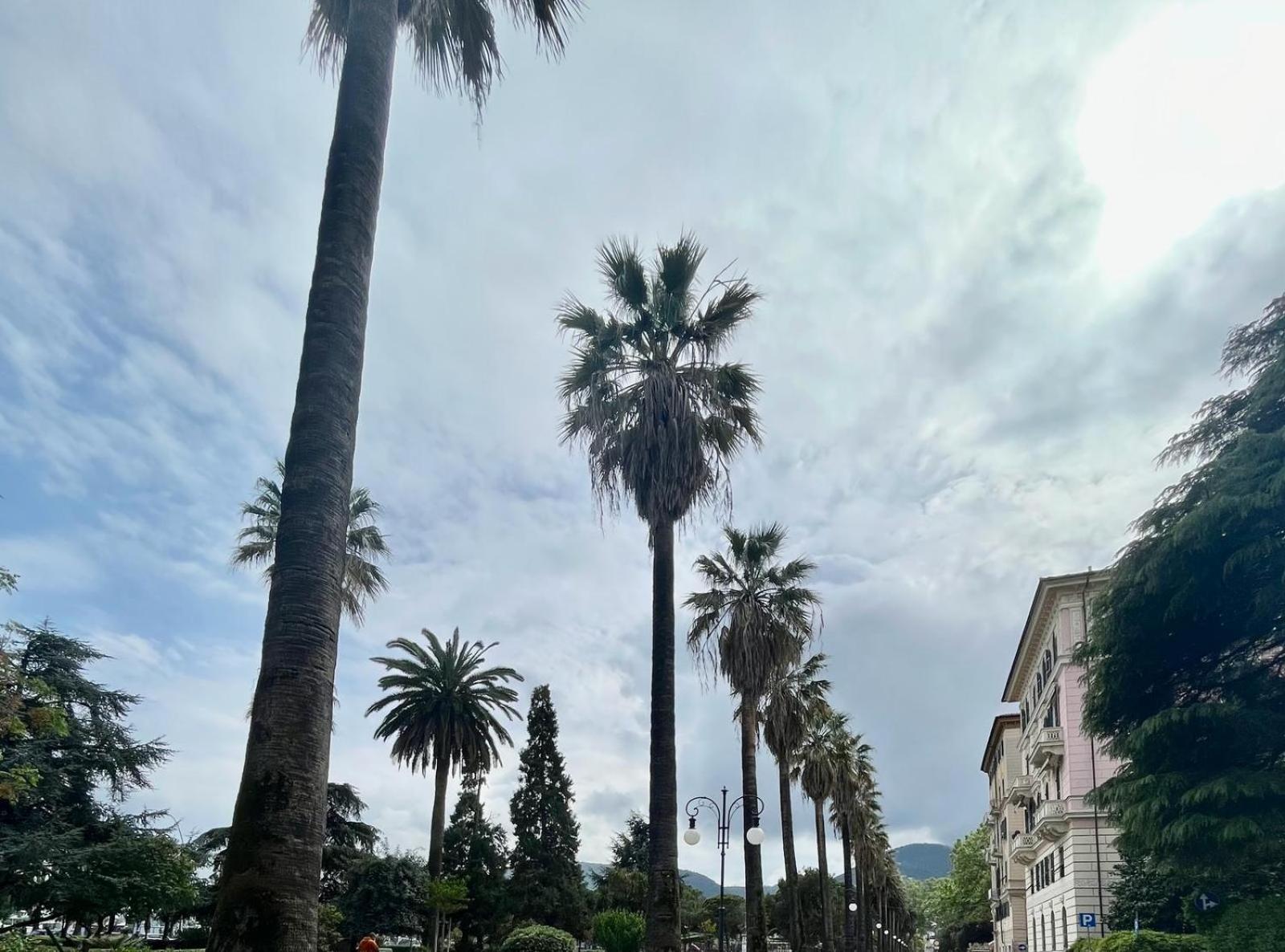 Breathe Liguria - Lucy 1 Bedroom And 1 Apartment In A Newly Renovated Nineteenth-Century Building In The Historic Center Near The Sea La Spezia Esterno foto